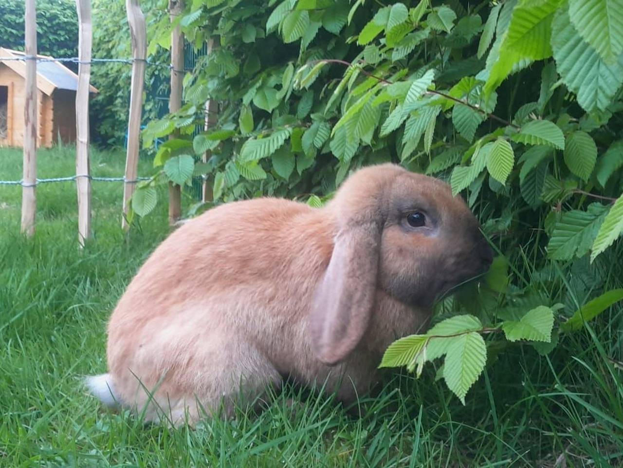 Übernachtung im Bauwagen - neues Zimmer in Stedesdorf, Nordseeküste