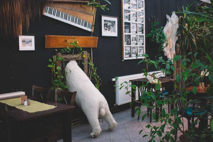 Hôtel pour 2 personnes, avec jardin dans Longyearbyen - 3
