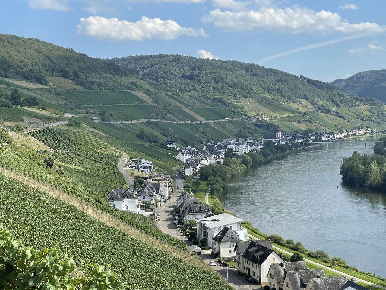 Ganze Ferienwohnung, The Vineyard View ab 1 Woche in Zell Stadt (Mosel), Zell (Mosel)