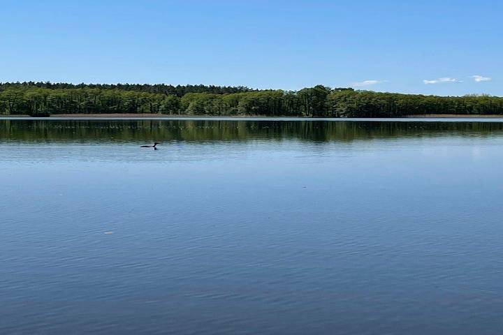 Ferienhaus für 2 Personen, mit Terrasse in Mecklenburgische Seenplatte - 4