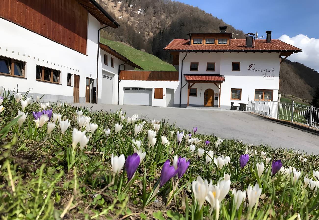 Geheel appartement, Appartement "Watles" met balkon en wifi in Schlinig, Mals