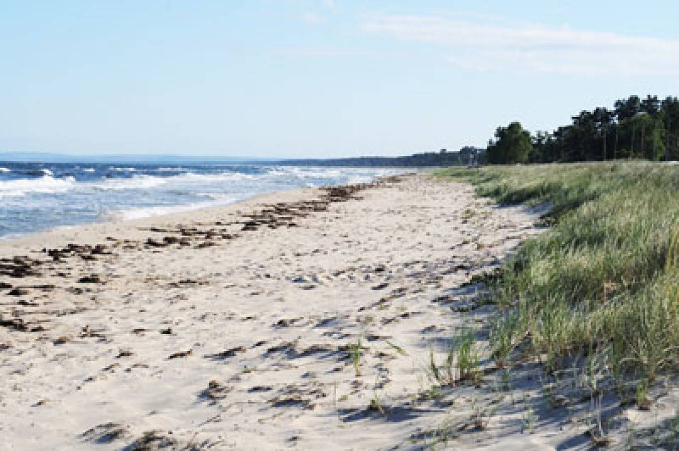 Urlaub in einer Strandvilla am Meer in Yngsjö, Svenska Östersjön