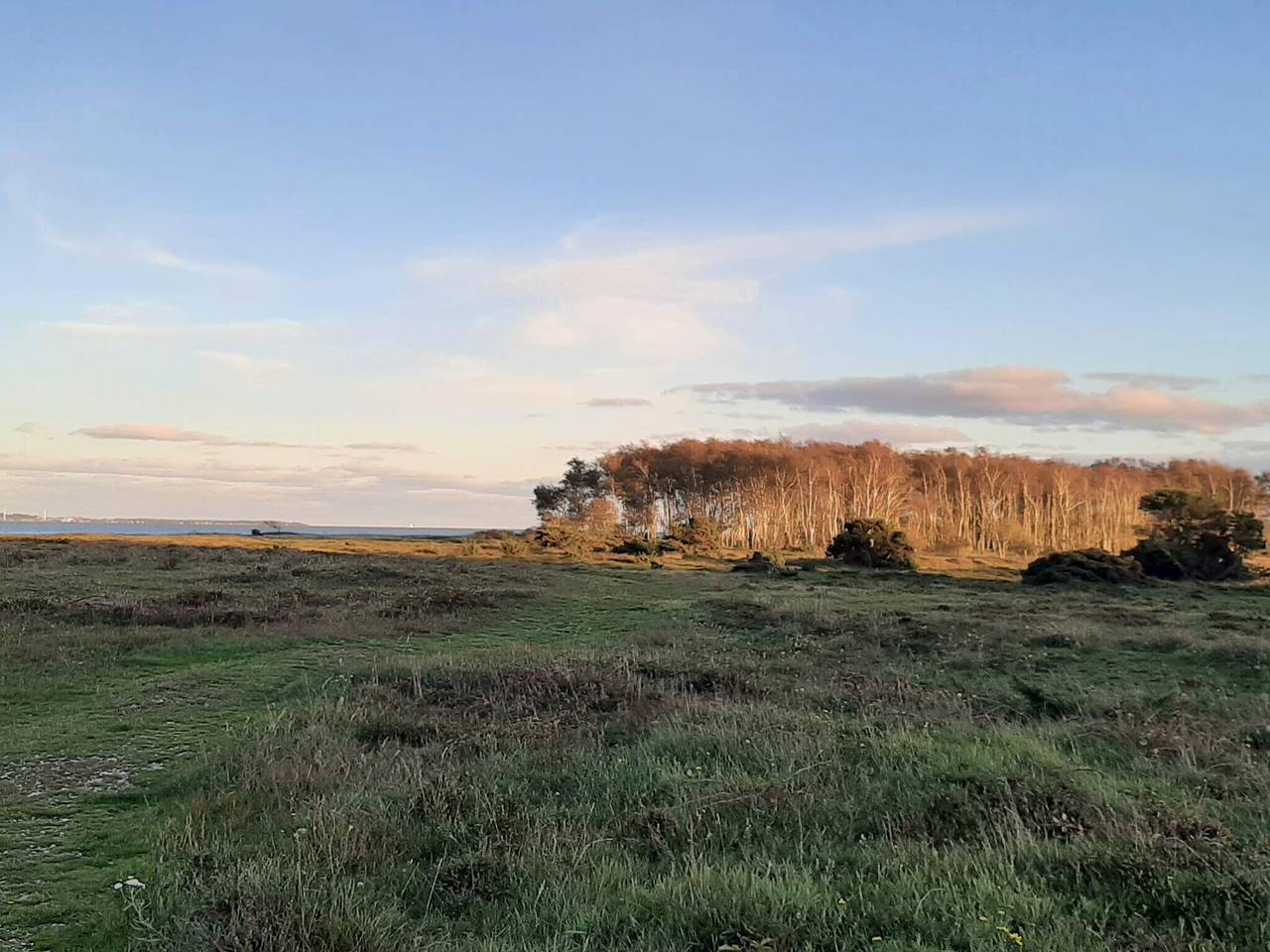 12 Personen Ferienhaus in Ebeltoft-By Traum in Dråby Strand, Ebeltoft