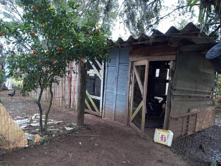 Maison d’hôte pour 2 personnes, avec balcon dans Mahé - 2