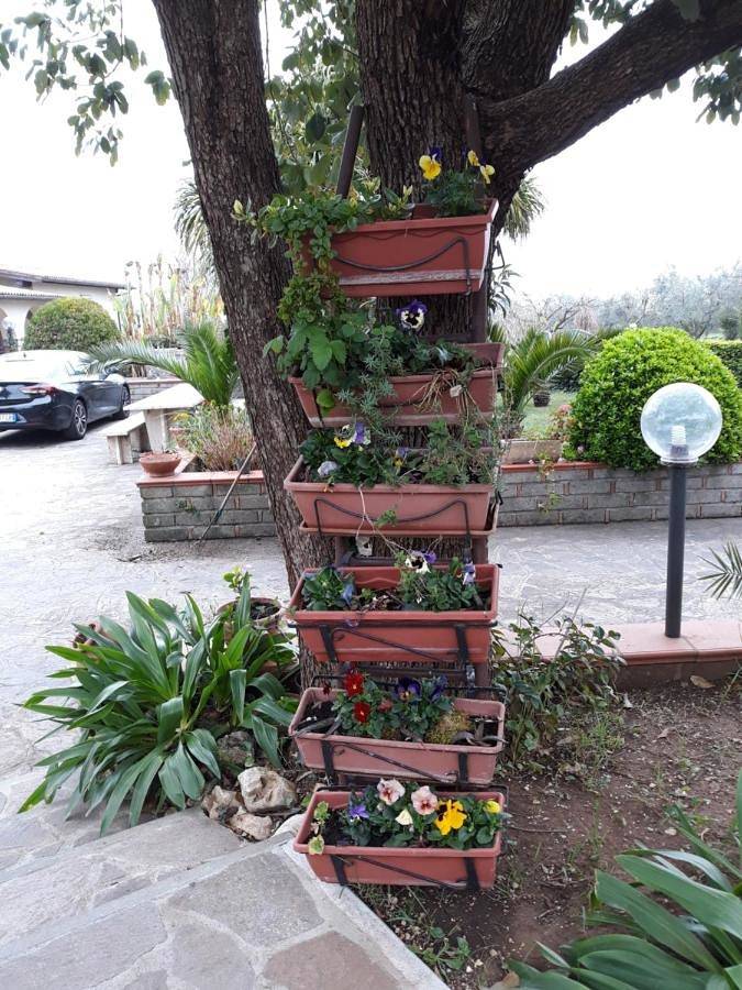 La Camelia B&B in Velletri, Castelli Romani