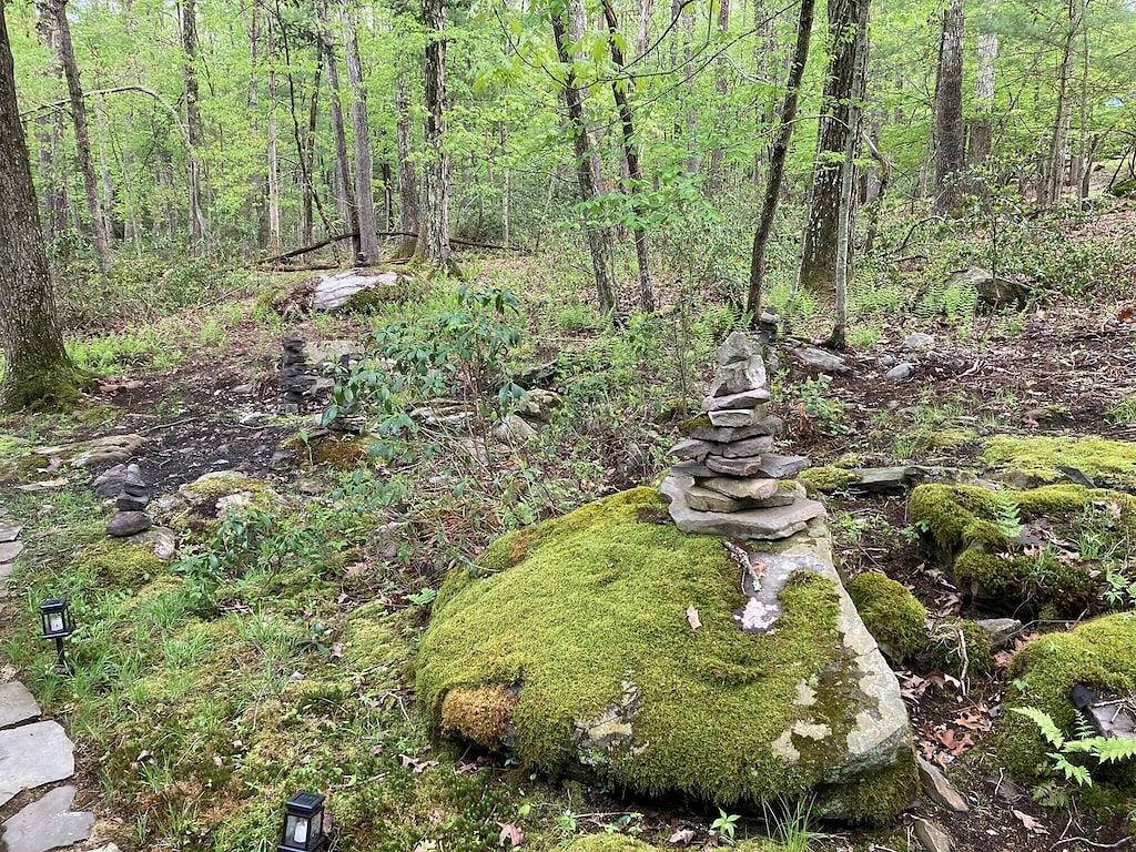 Peaceful Seasonal Wooded Nature Cottage close to everything in Lake Wallenpaupack