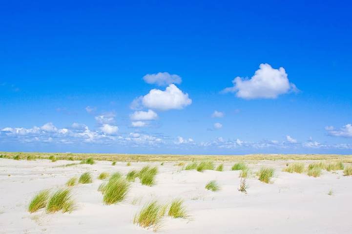 Hotel für 6 Personen in Burgh-Haamstede