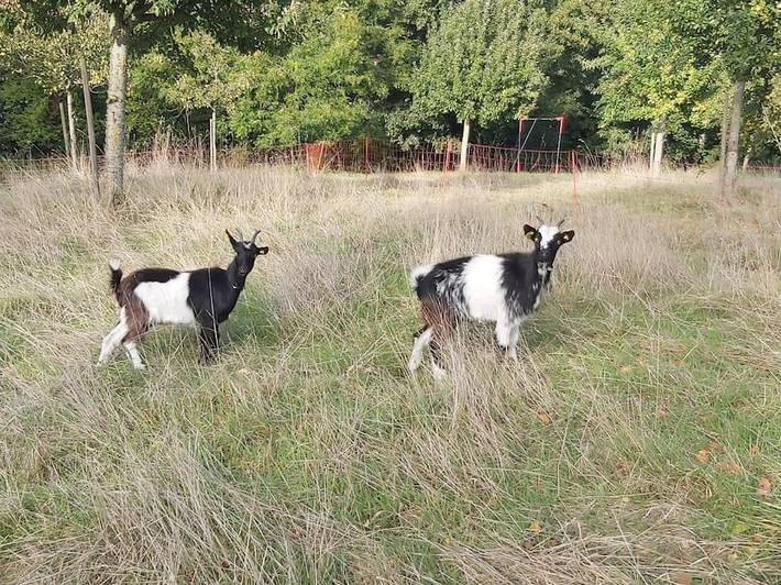 Location de vacances pour 8 personnes, avec jardin ainsi que vue et piscine à Le Mesnil-sur-Blangy - 4