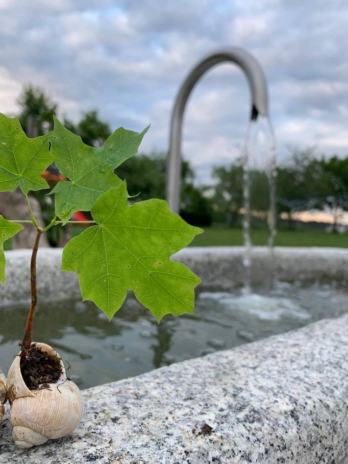 Ferienhaus für 5 Personen, mit Garten und Balkon