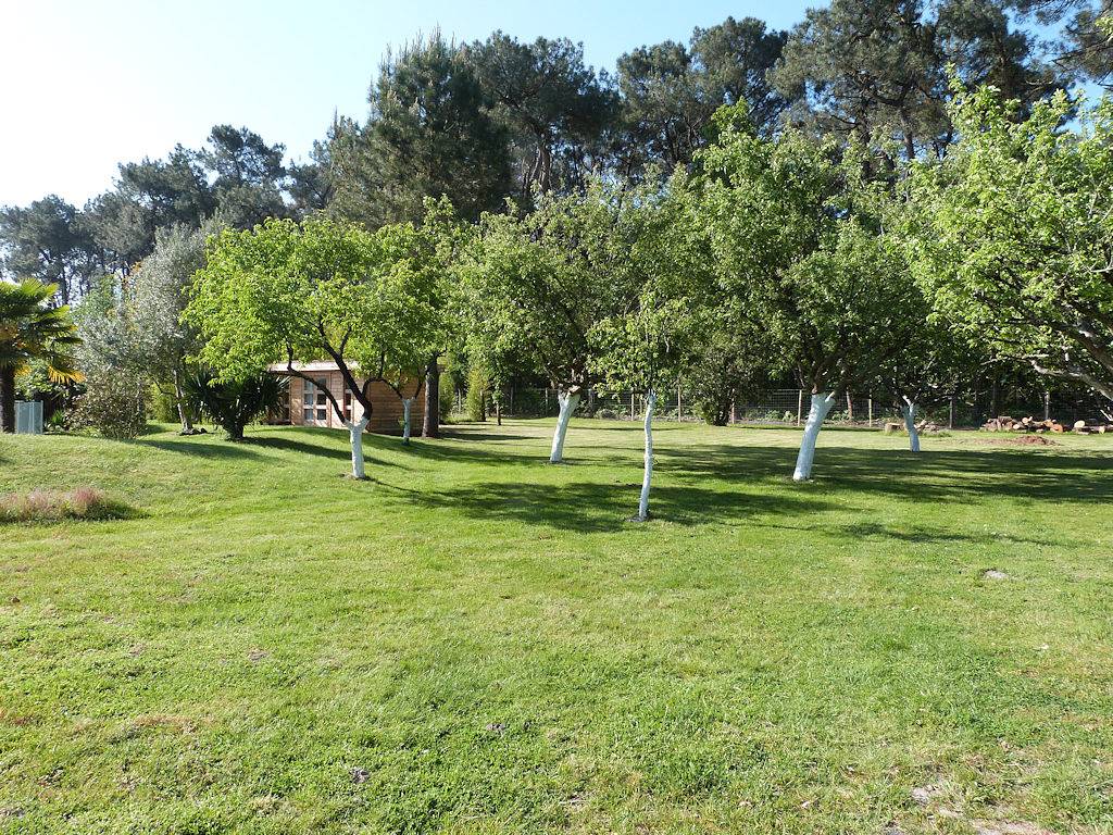 La Maison de Brigitte, piscine et sauna - Chambre Mer in Challans, Vallée de la Loire