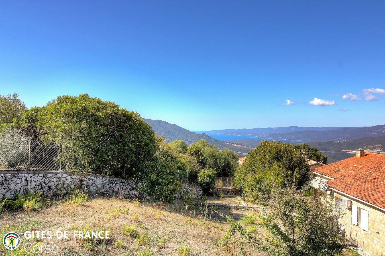 Bleuet in Sartène, Arrondissement de Sartène