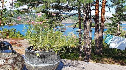 Ferienhaus für 9 Personen in Risør, Agder, Bild 4