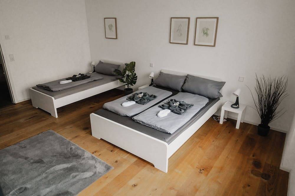 Ganze Wohnung, Goldstadtloft in Pforzheim, Nordschwarzwald