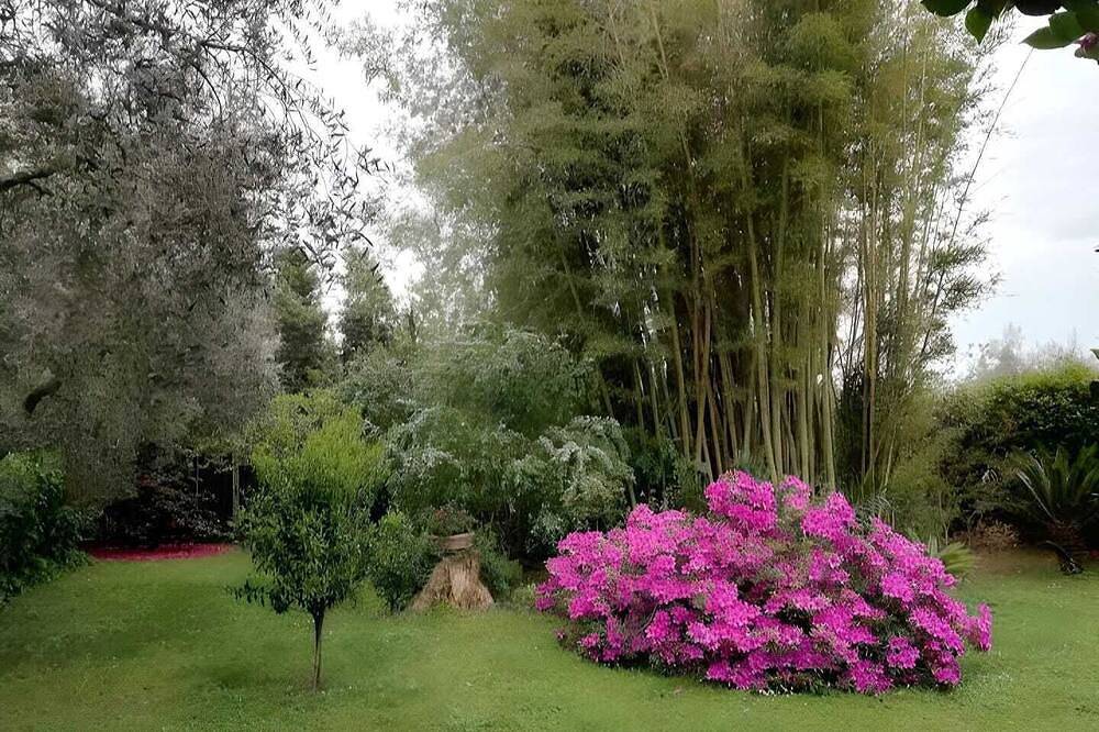 Apartamento entero, Sant'Andrea Accommodation – Your Holiday Home Between Velletri and Lariano in Lariano, Castelli Romani