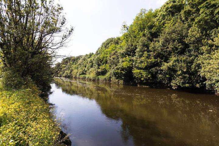Maison d’hôte pour 3 personnes à San Sebastian - 3