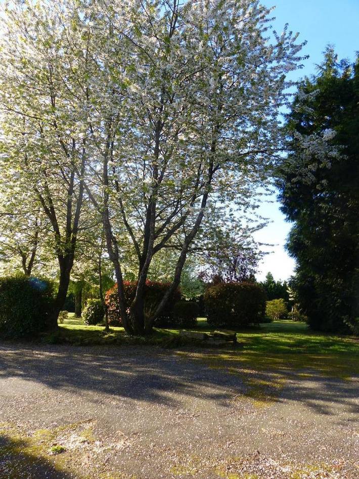 Gîte pour 6 personnes, avec jardin à Baud (mesure) - 2