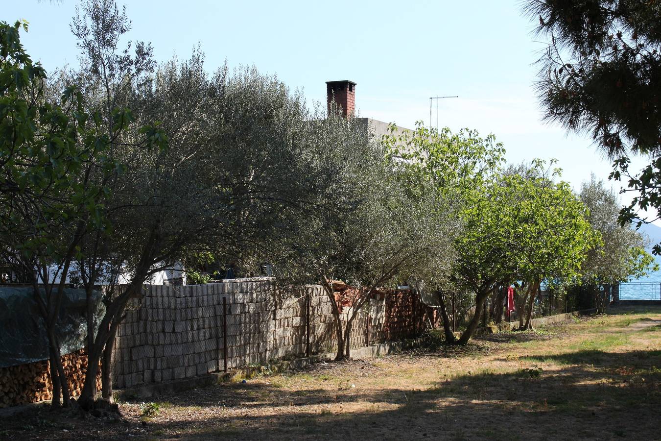 Ganze Wohnung, Studio Appartement am Strand Sukosan, Zadar As-6133-a in Sukosan, Zadar
