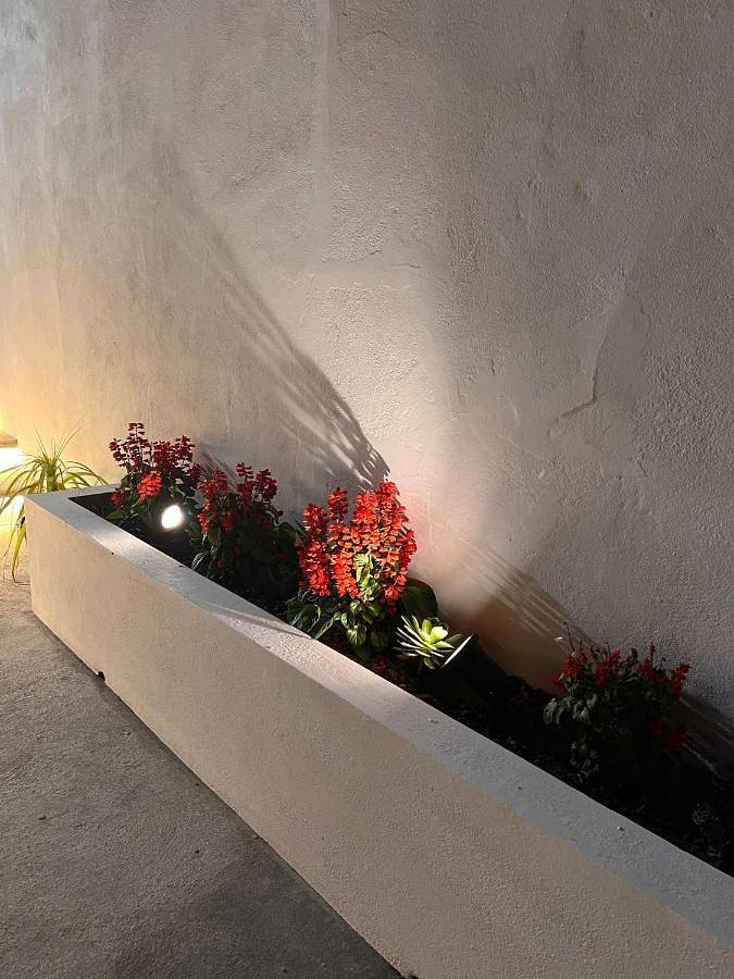 Location de vacances pour 4 personnes, avec terrasse ainsi que jacuzzi et jardin à Povoação - 4