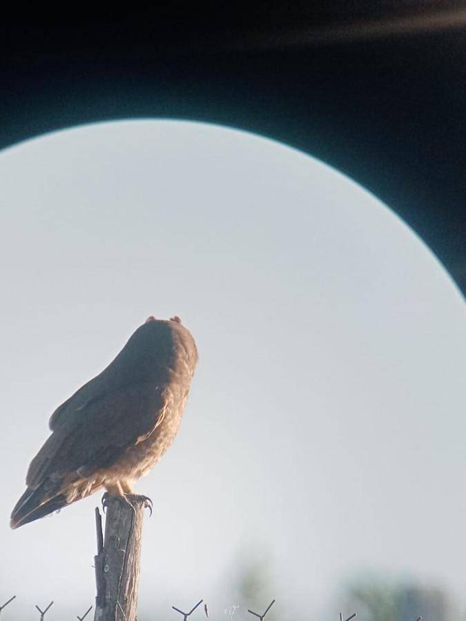 Location de vacances pour 2 personnes à Moulay Bousselham - 3