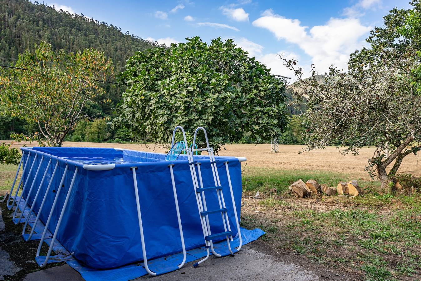 Ferienhaus 'Madreselva' mit Bergblick, privatem Pool und Wlan in Navelgas, Tineo