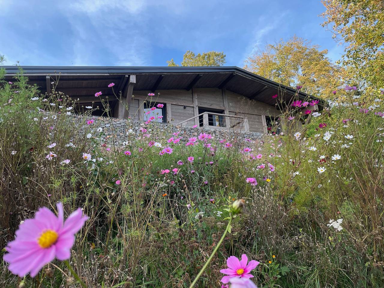 Renoviertes Chalet mit Sauna, nahe Gérardmer in Sapois, Regionaler Naturpark Belchen der Vogesen