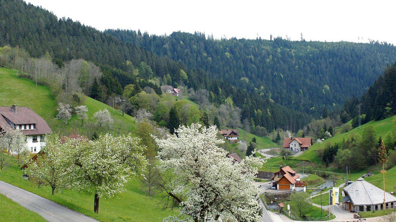 Ganze Ferienwohnung, Ferienwohnung für 4 Personen (60 m²) in Bad Rippoldsau-Schapbach in Bad Rippoldsau-Schapbach, Mittlerer Schwarzwald