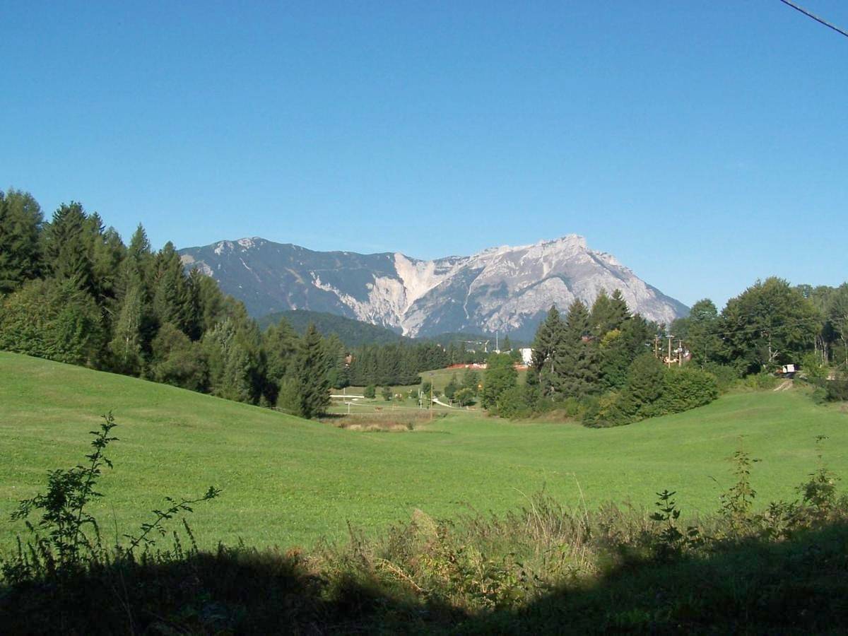 One-Bedroom Apartment (4 Adults) in Lavarone, Alpe Cimbra