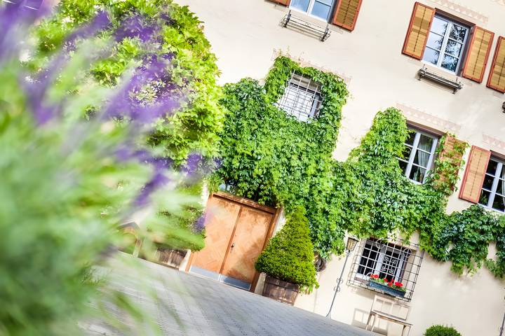 Ferienwohnung für 4 Personen, mit Garten im Vinschgau - 3