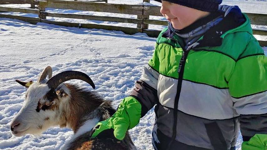 Ferienhaus mit Meerblick für 3 Personen, mit Garten