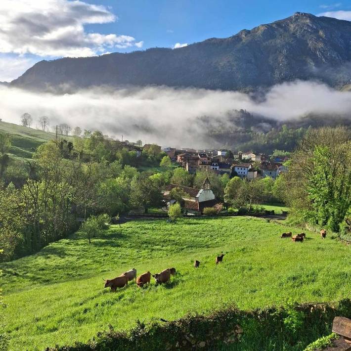 Gîte pour 4 personnes, avec vue et terrasse dans Arenas de Cabrales - 2