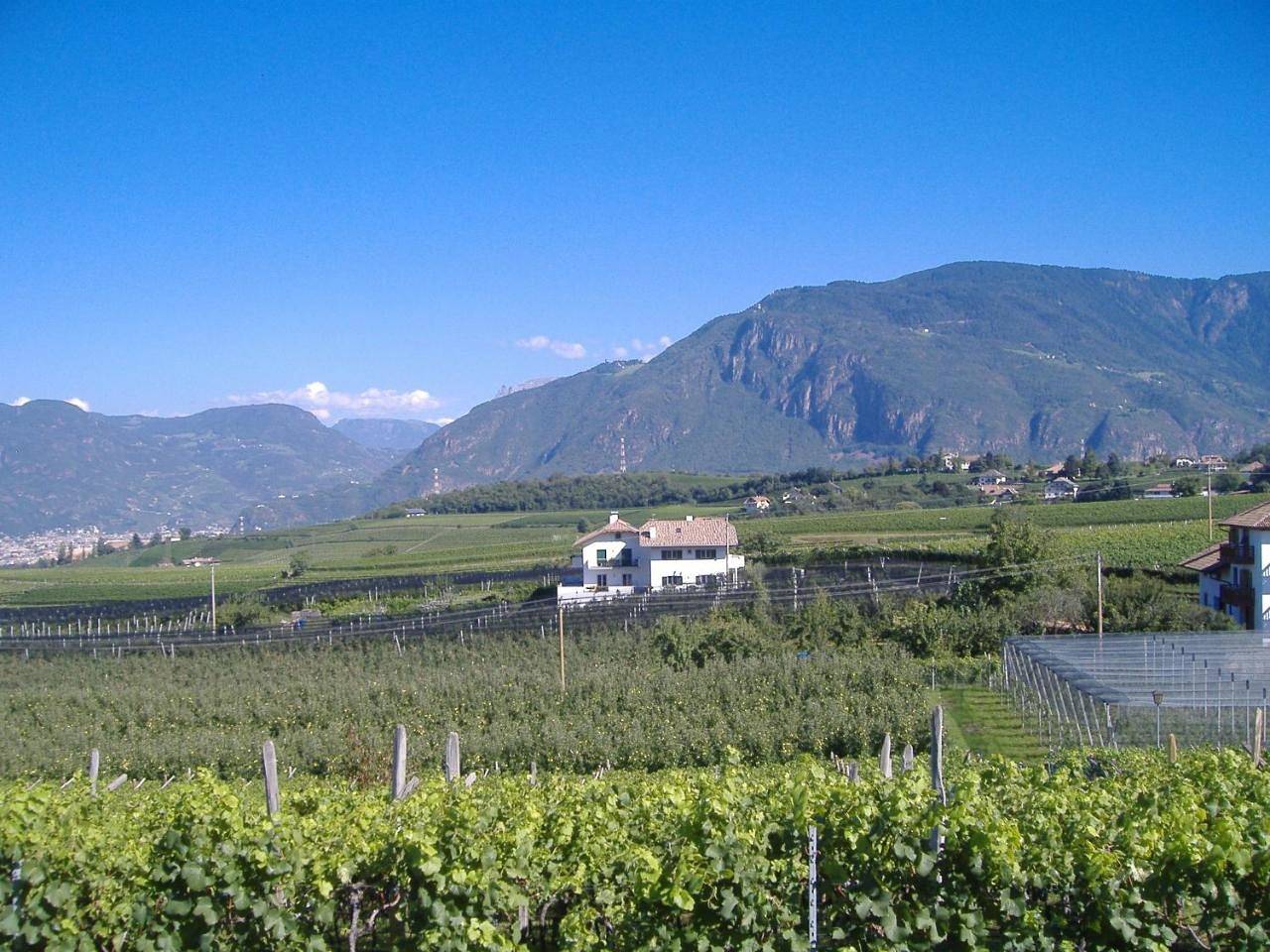 Ganze Wohnung, Fasslhof in Girlan, Eppan an der Weinstraße