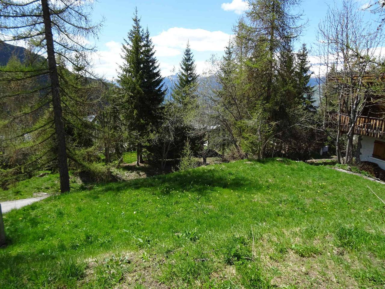 Chalet 8 pers à Plan Peisey, près des pistes, animaux admis in Parc National de la Vanoise