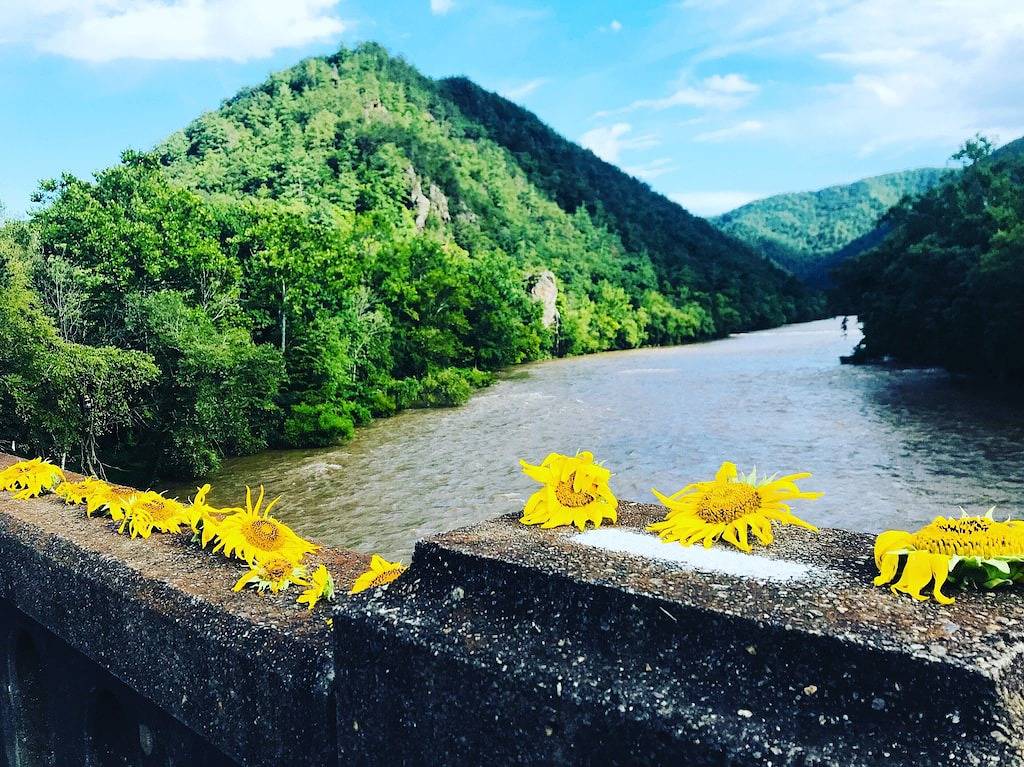 Downtown Favorite! Hot Tub, Firepit, Cozy & Roomy in Hot Springs (NC), Madison County (NC)