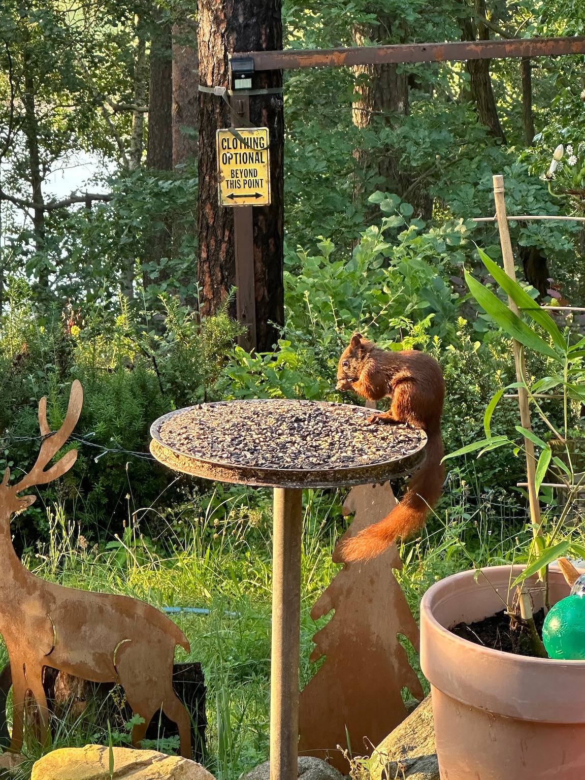 Vakantiehuis Waldzauber 2 met uitzicht op het meer, privéterras en tuin, foto 9