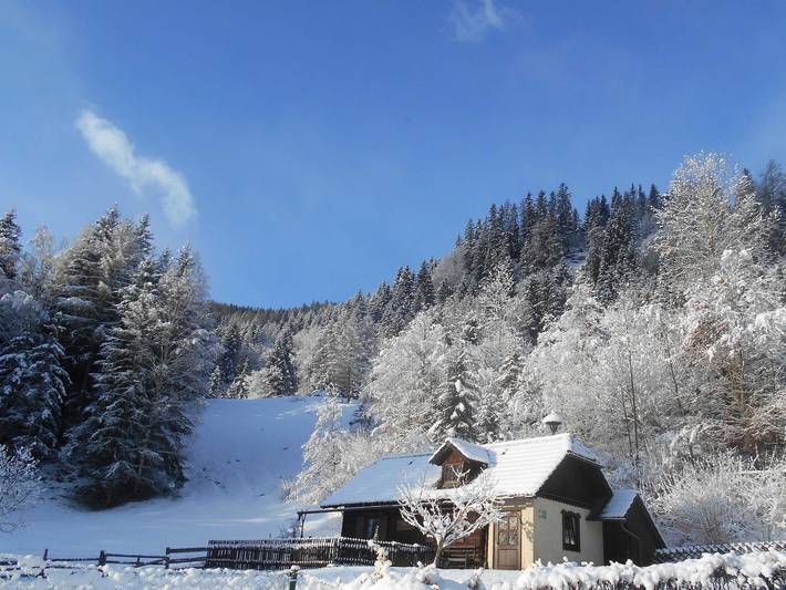 Ferienhaus für 4 Personen, mit Ausblick und Garten sowie Pool, mit Haustier in der Steiermark