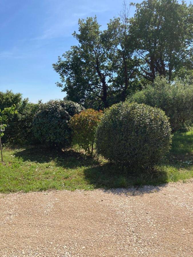 Location de vacances pour 6 personnes, avec vue et terrasse ainsi que piscine et jardin, animaux acceptés à Flassan - 2