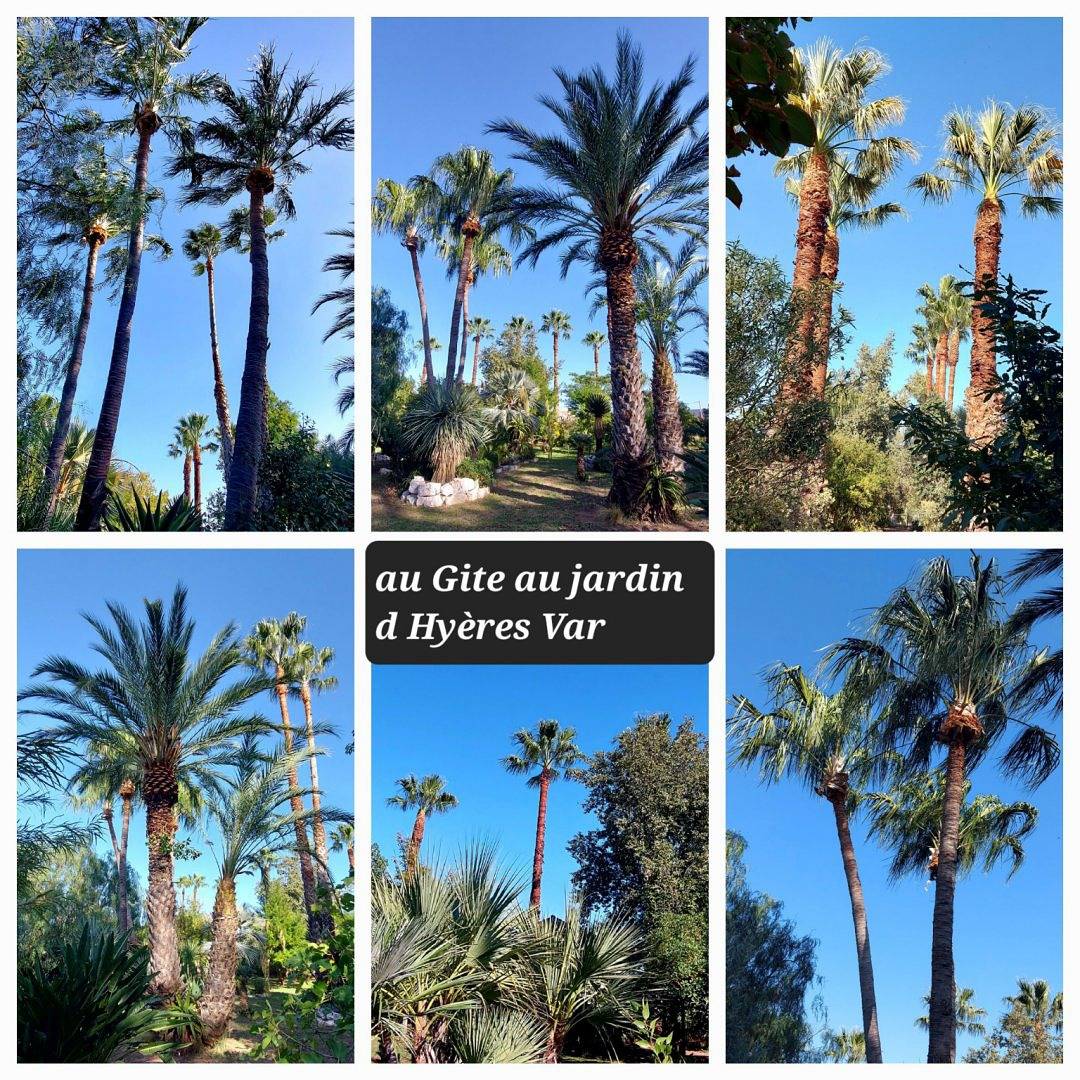 Gite au jardin Nartettes, Climatisé, indépendant, Parking clos. in Hyeres, Région de Toulon