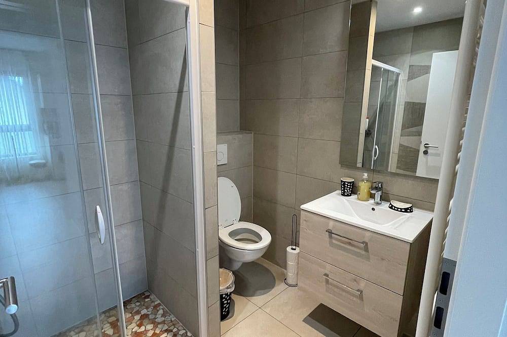 Entire apartment, High standard accommodation near the center of Basel in Saint-Louis, Mulhouse region