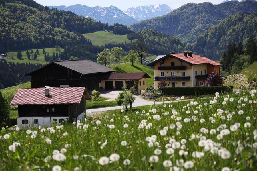 Appartement/Fewo, Dusche und Badewanne, 2 Schlafrä in Salzkammergut-Berge, Abtenau