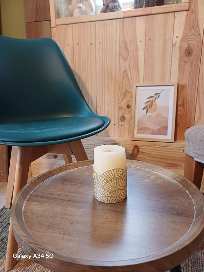 Location de vacances pour 3 personnes, avec jacuzzi et jardin, animaux acceptés à Terville - 2