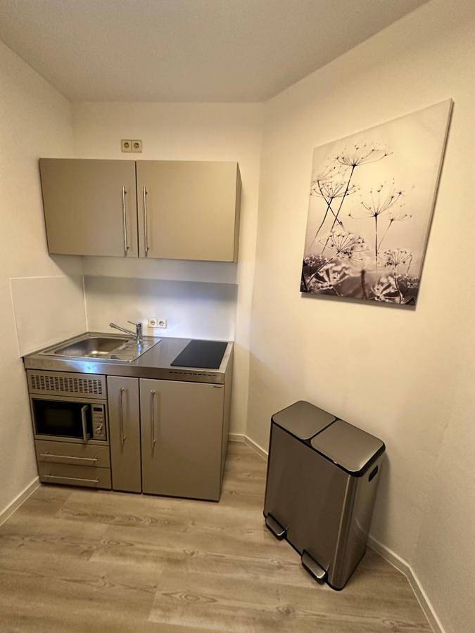 Gîte pour 3 personnes, avec terrasse et jacuzzi, animaux acceptés à Neckarsteinach - 4