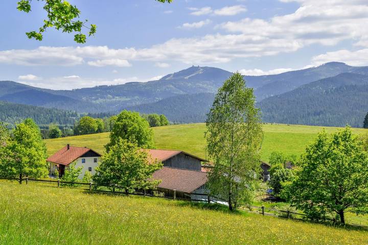 Ganze Ferienwohnung, Urlaub auf dem Haberlhof - Wohnung Ahorn 45 qm in Lohberg, Ostbayern