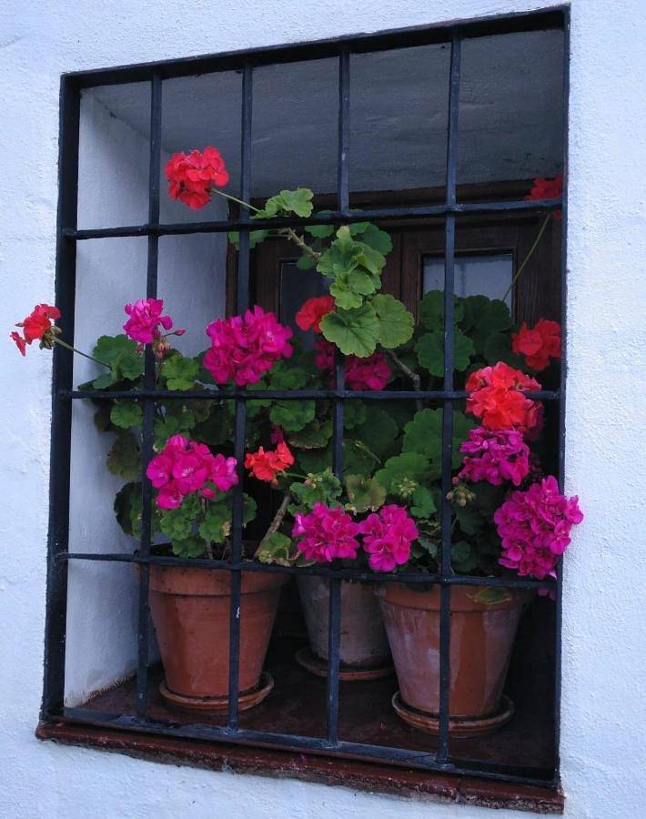 Casa rural para 6 personas, con terraza y piscina para niños además de vistas y piscina en Sierra de Grazalema - 3