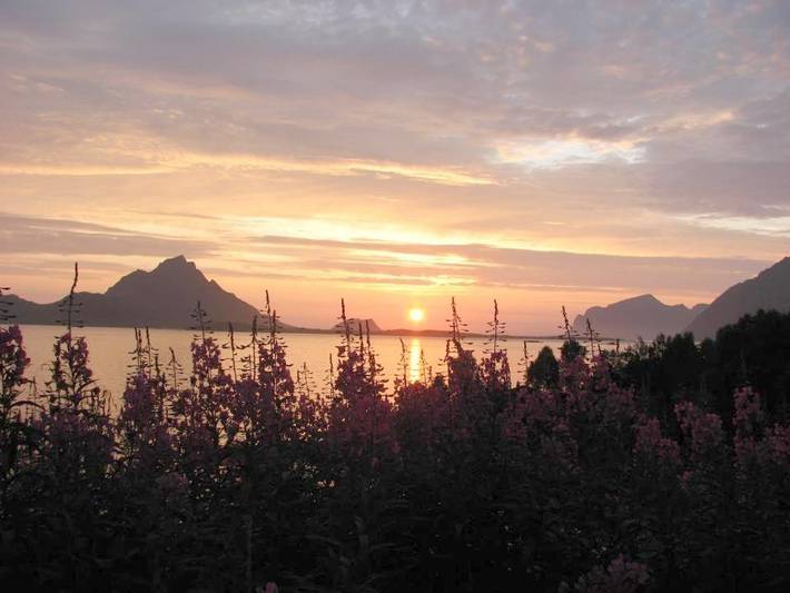Ferienhaus für 4 Personen, mit Terrasse und Garten sowie Ausblick in Vesterålen - 3