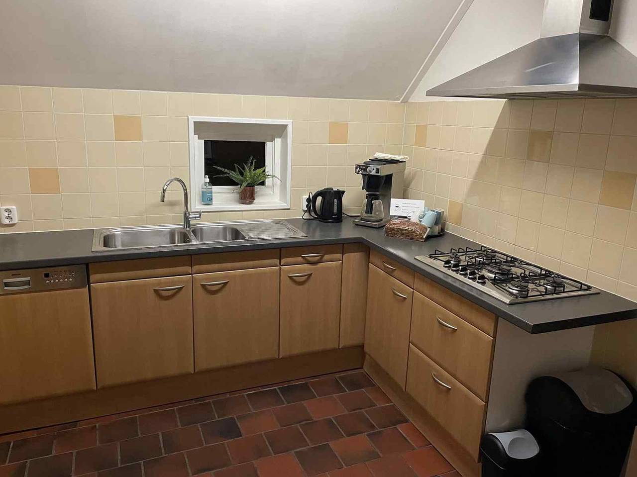 Schönes Ferienhaus für 12 Personen mitten im Wald in Drenthe mit Whirlpool in Drenthe