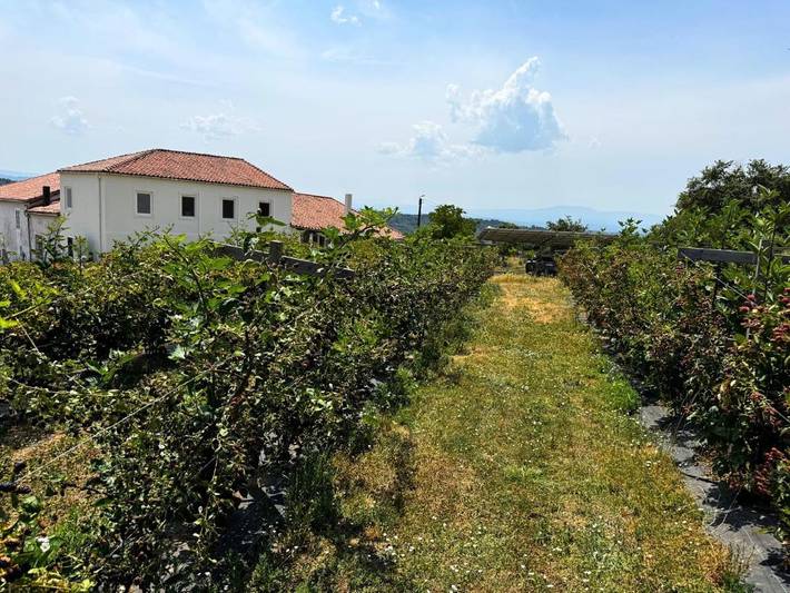 Casa rural para 6 personas, con jardín y vistas en Monforte de Lemos - 4