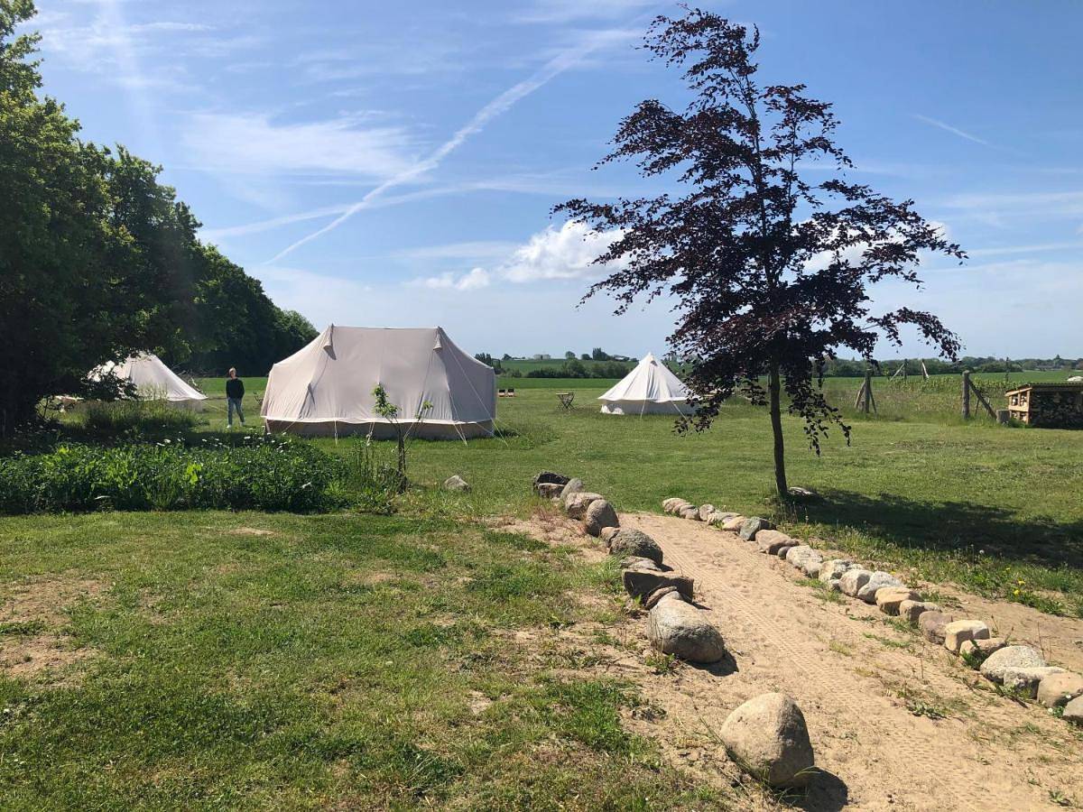 Tent - Hyacint in Vordingborg und Umgebung