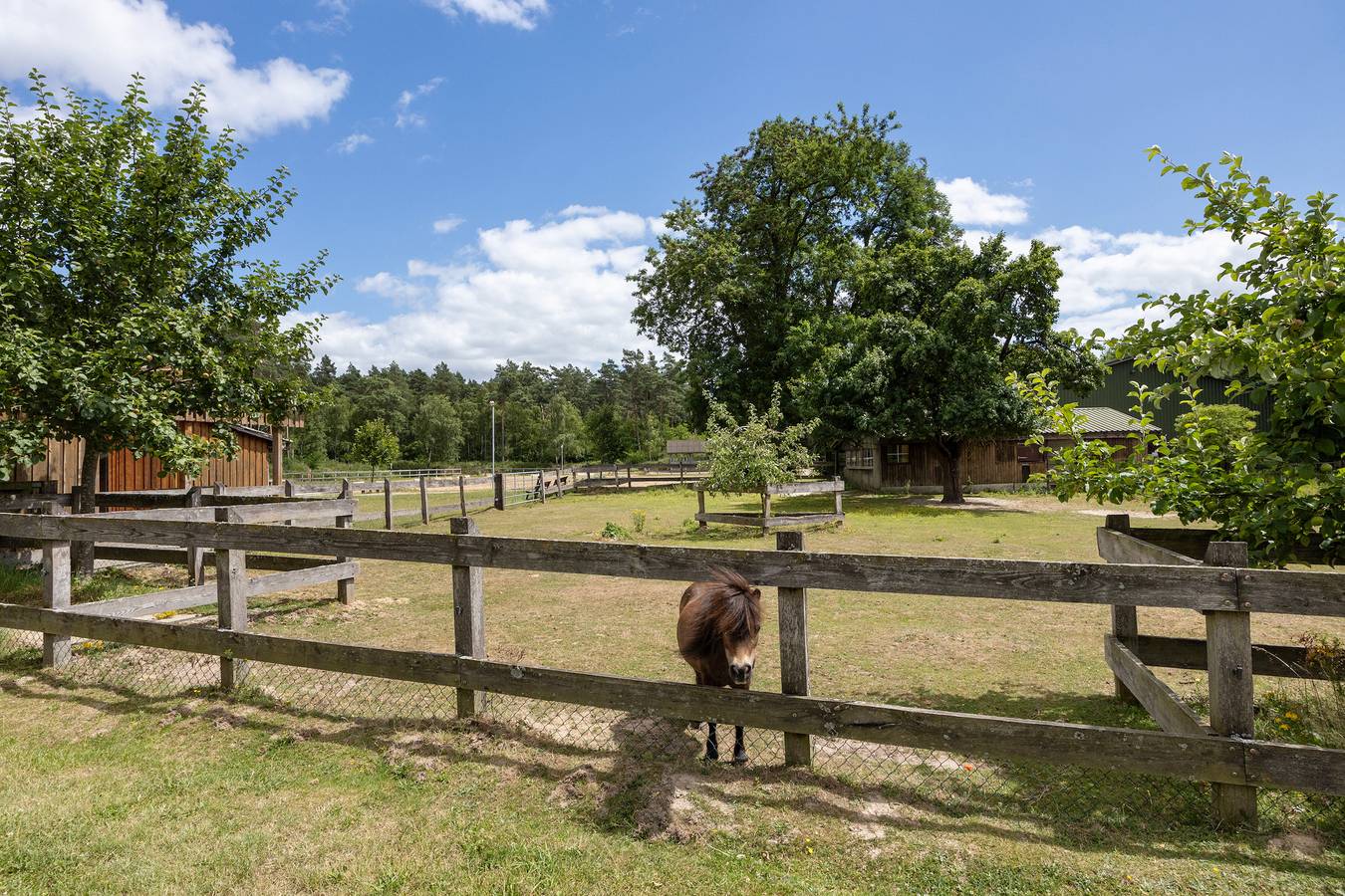 Ganze Wohnung, Ferienwohnung 'Immenhof' mit privater Terrasse, privatem Garten und Wi-Fi in Schwienau, Landkreis Uelzen