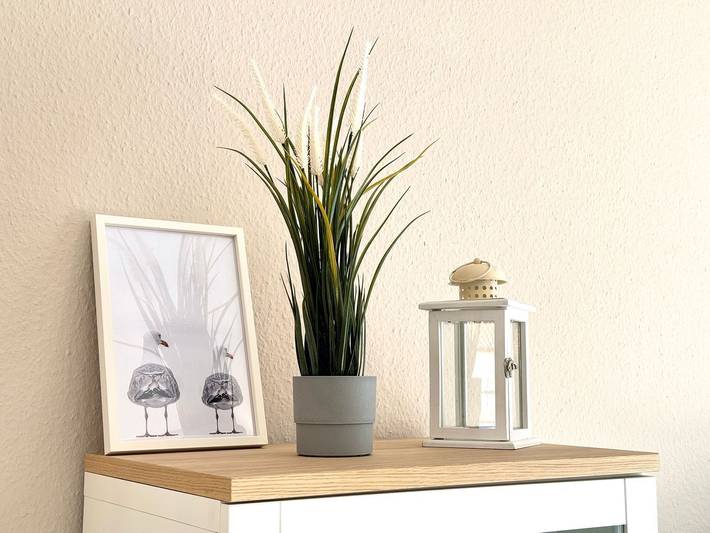 Ferienhaus für 4 Personen, mit Garten in Dorum - 4