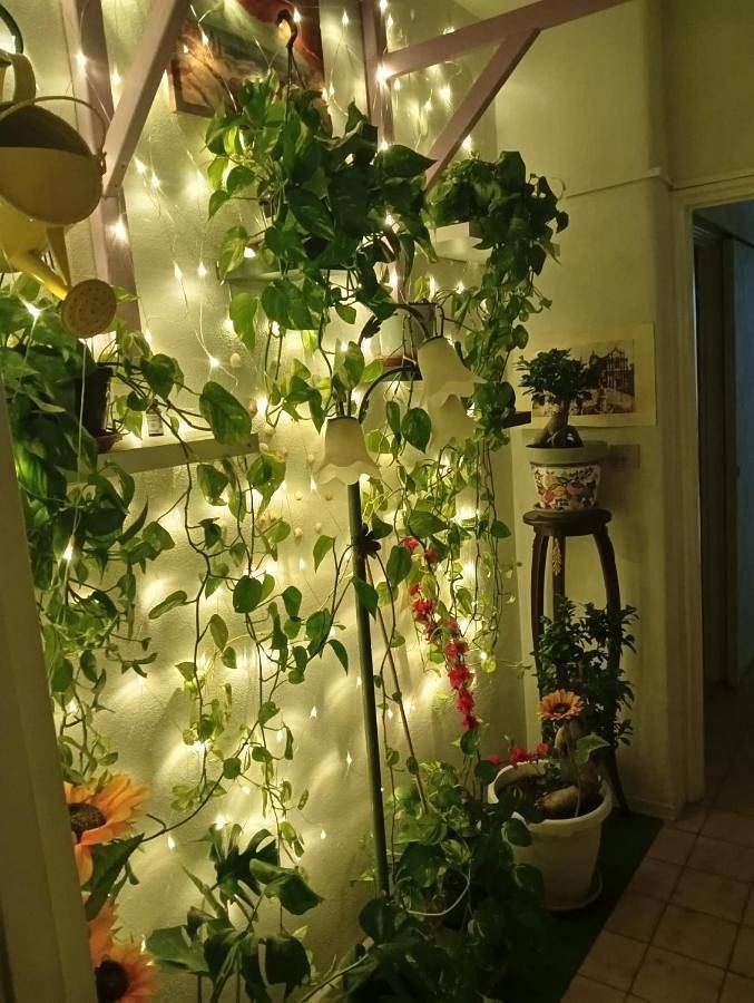 Appartamento per 4 persone, con giardino e panorama, con animali domestici a Gravina di Catania